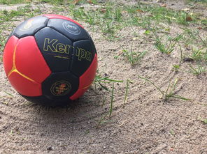 全国老年人健身球操赛展银发激情，老年健身球类